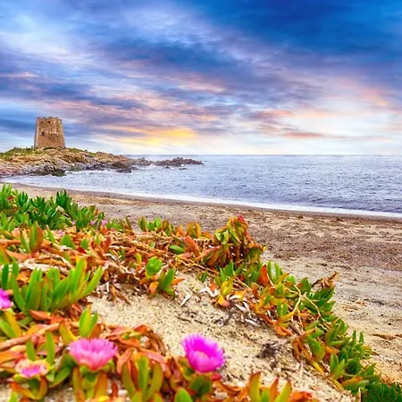 Sunrise Terrace Apartament *